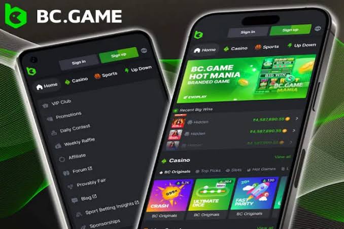 How to Effectively Download the BC App How to Effectively Download the BC App